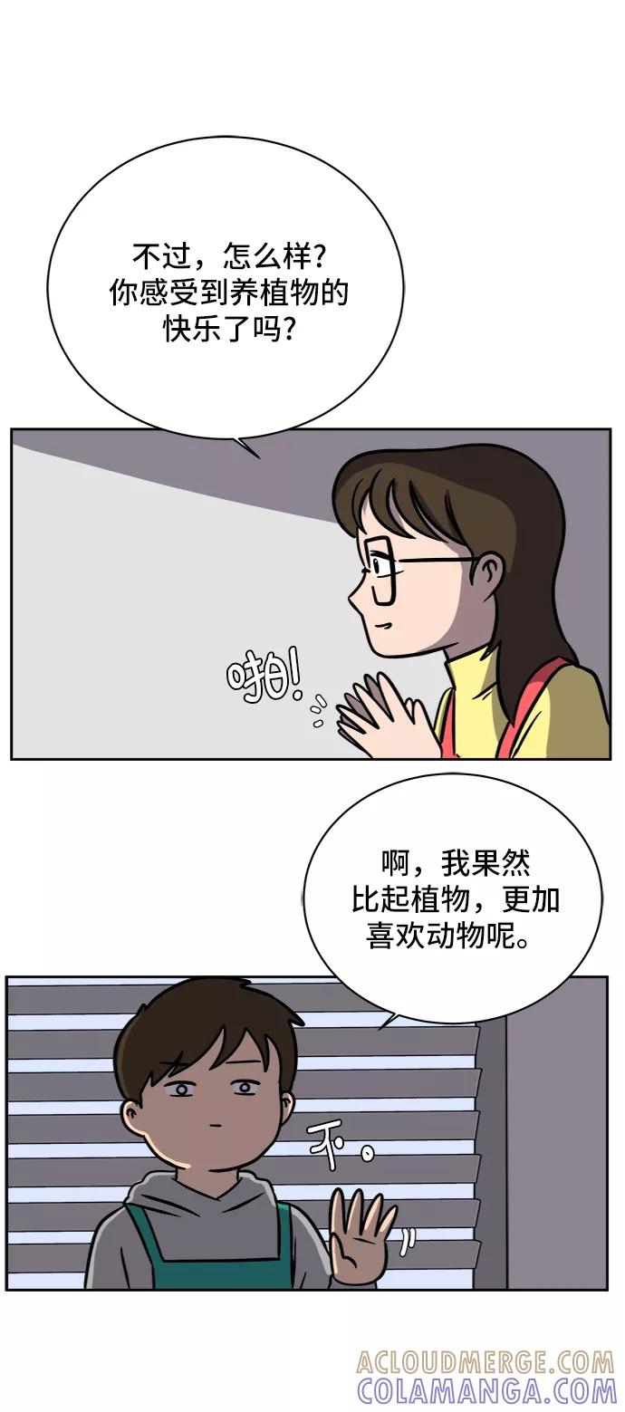《末日避难所》[第47话] 治愈空间1-宝拉的一天 第55页