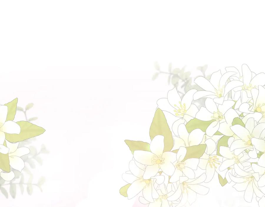 《侯爵只对她温柔》第11话 林间野炊 第14页