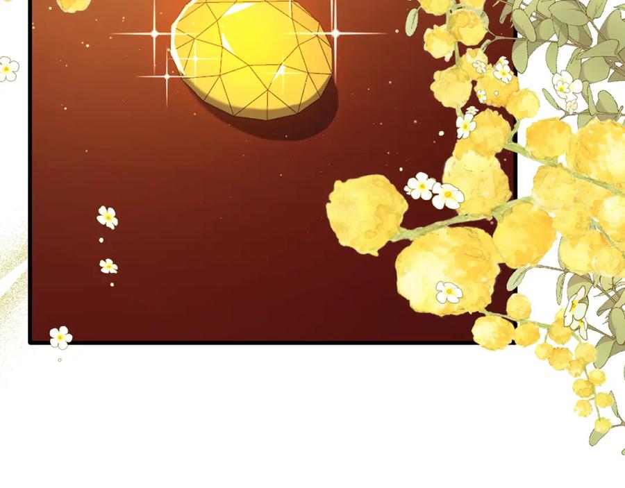《侯爵只对她温柔》第41话 偷偷准备礼物 第151页