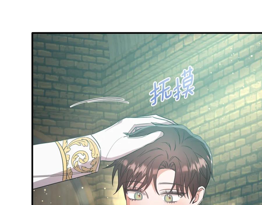 《侯爵只对她温柔》第47话 团长到访 第134页