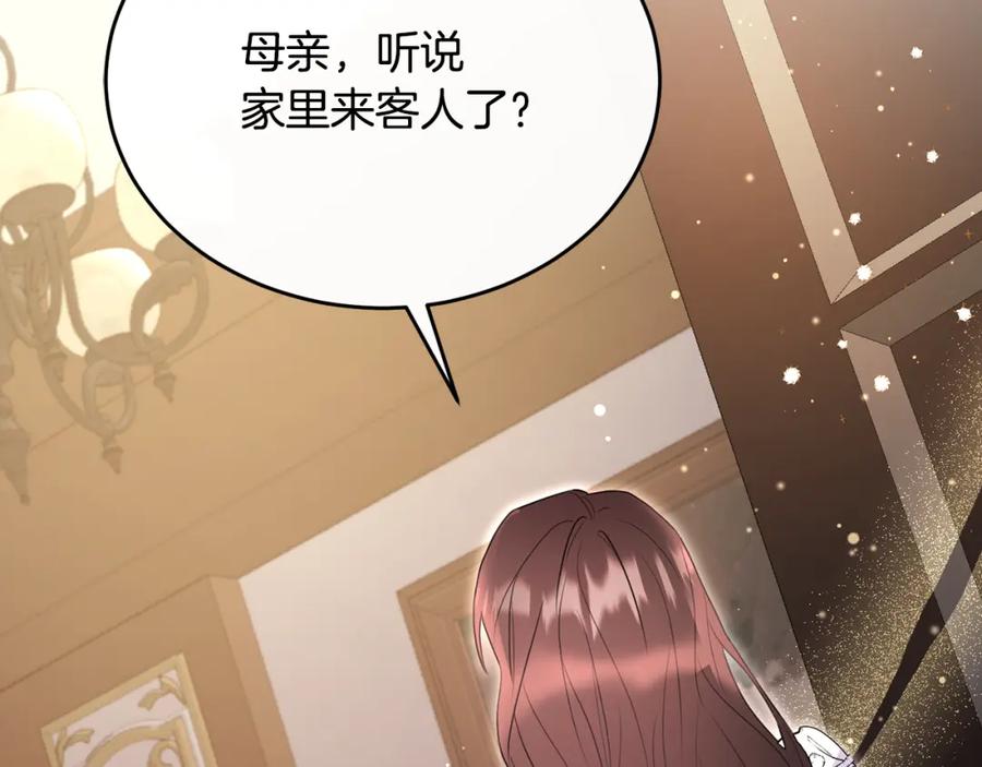 《侯爵只对她温柔》第47话 团长到访 第162页