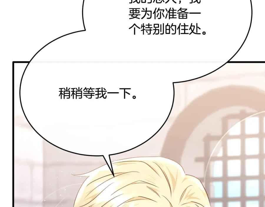 《侯爵只对她温柔》第64话 与团长假装恋人 第164页