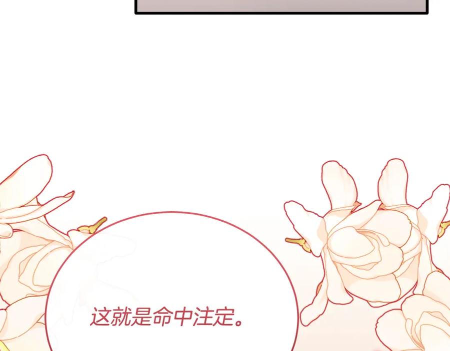 《侯爵只对她温柔》第75话 恋爱脑劳洛 第87页