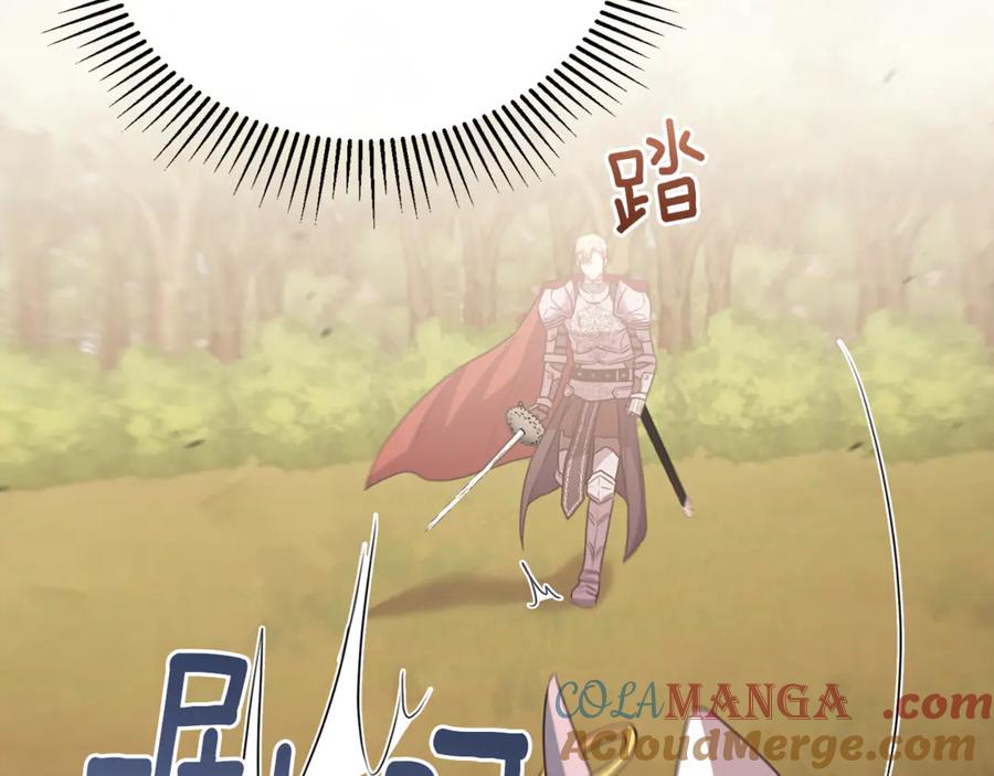 《侯爵只对她温柔》第87话 阿伦含泪瞄准洛维 第189页