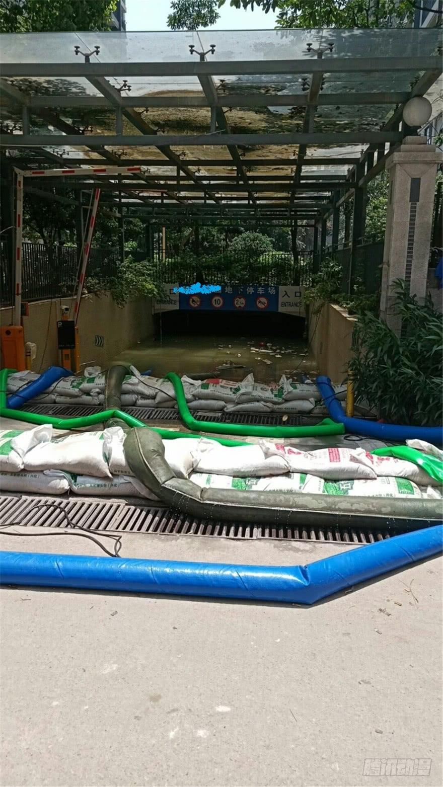 《花非花》少侠，潜水健身了解一下 第2页
