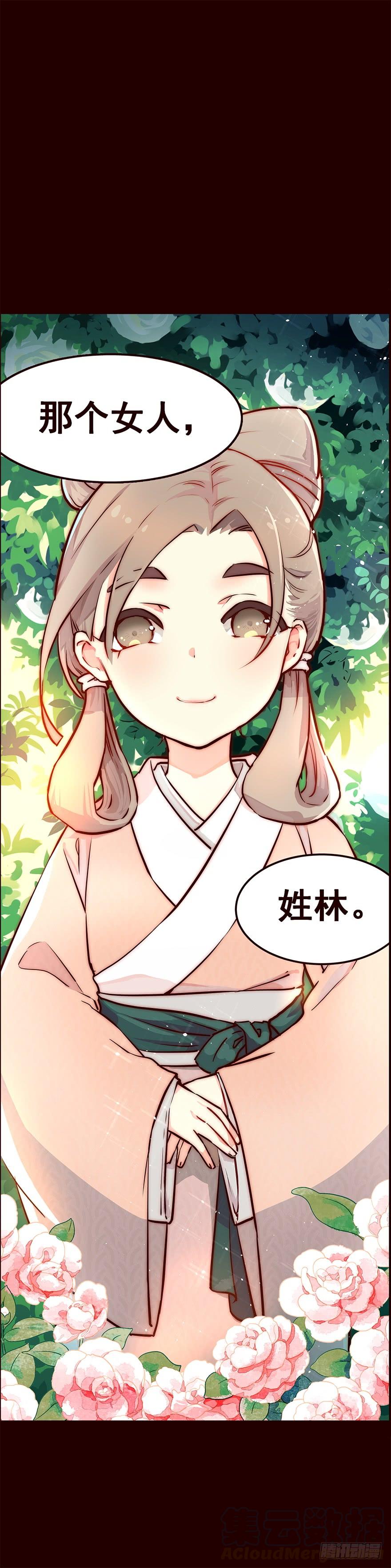 《花非花》林家 第17页