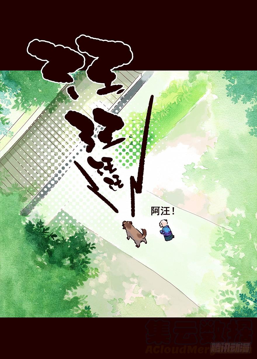 《花非花》排查 第5页