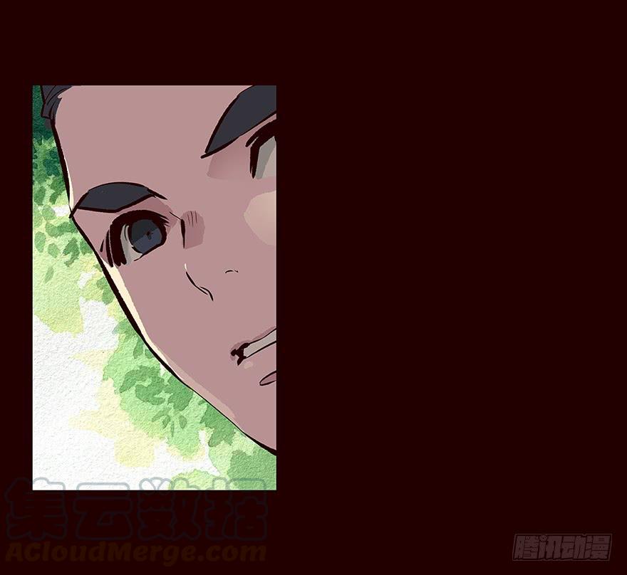 《花非花》取消 第5页