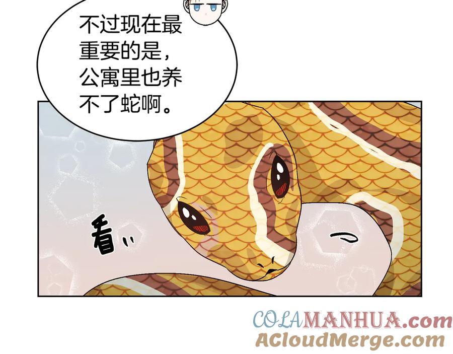 《花花公子与绯闻秘书》第40话 送蟒蛇当礼物 第37页