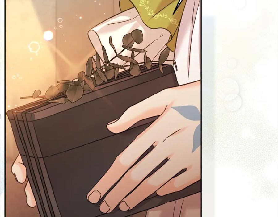 坏蛋们的掌上千金 - 第二季完结篇 哥哥忘了妹妹 - 第167张图