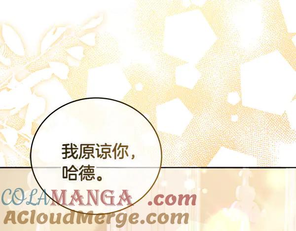 坏蛋们的掌上千金 - 第112话 曾经 - 第253张图