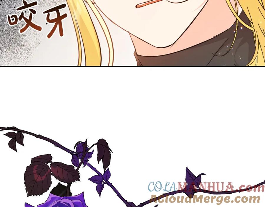 坏蛋们的掌上千金 - 第56话 美男骑士 - 第209张图