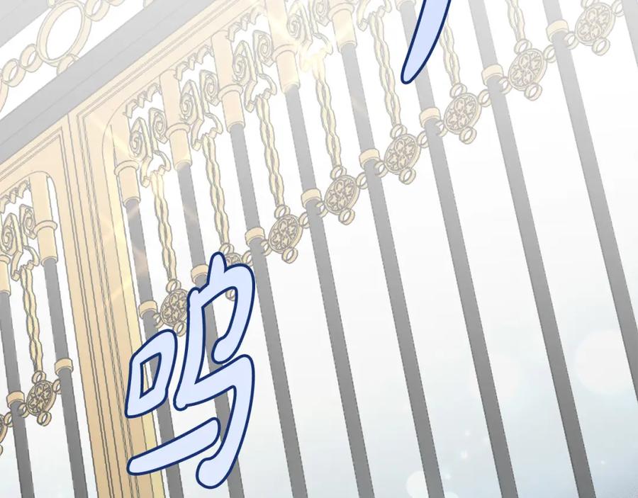 坏蛋们的掌上千金 - 第56话 美男骑士 - 第138张图