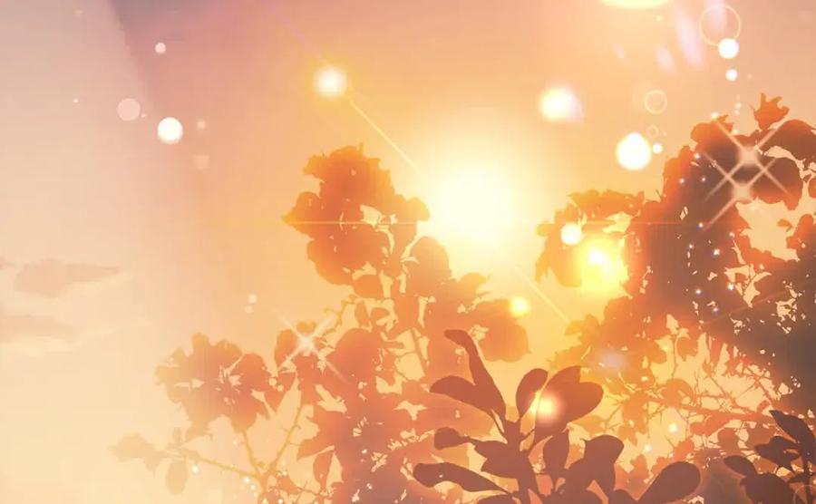 坏蛋们的掌上千金 - 第95话 我会忘记妹妹？ - 第44张图