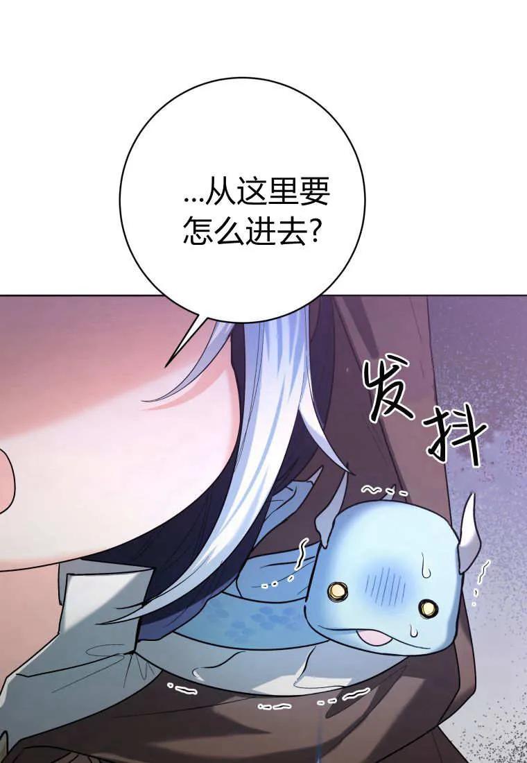 黑幕虎鲸宝宝 第41话 第104页