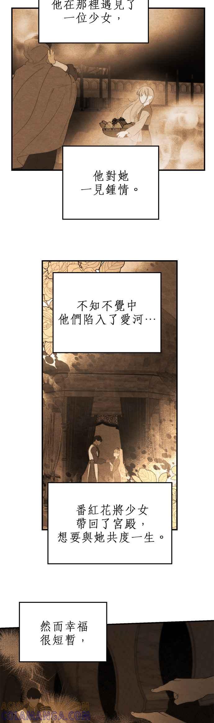 《神灯精灵亚美娜》第99话 第19页