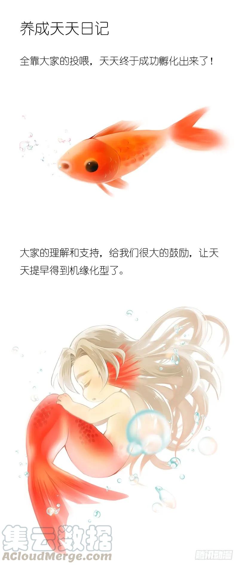 化龙记 狐缠篇﹙二十﹚ 第11页