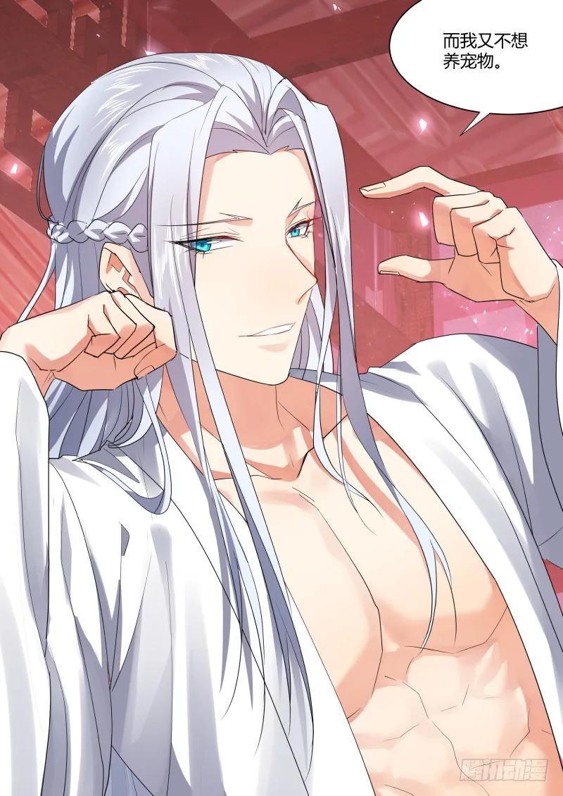 化龙记 第104章.结发之盟﹙上﹚ 第6页