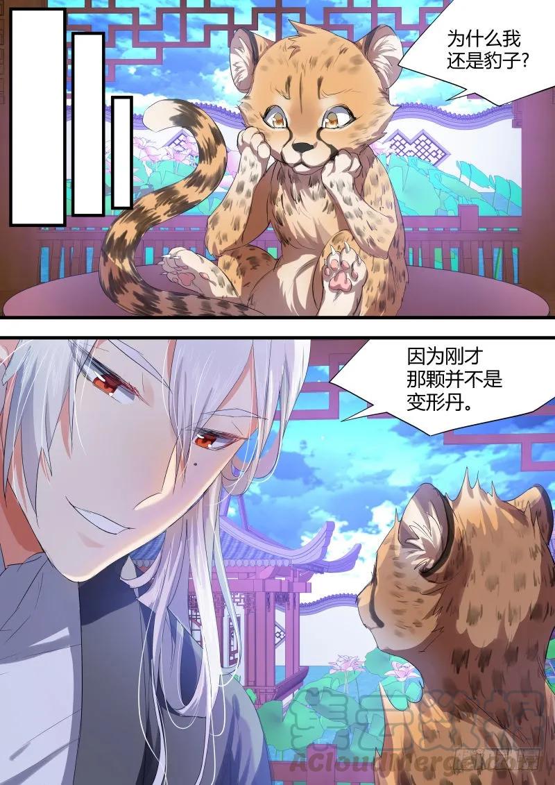 化龙记 第33章 暗箭难防﹙下﹚ 第9页