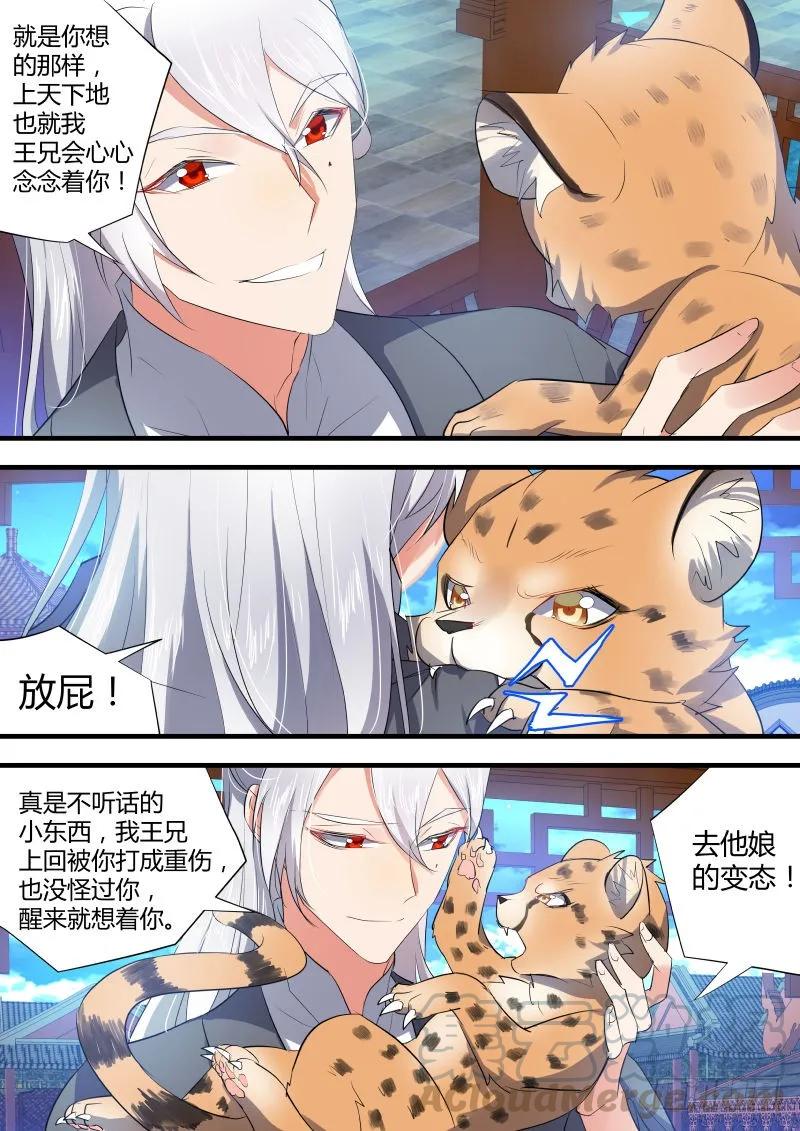 化龙记 第34章 有得有失﹙上﹚ 第3页