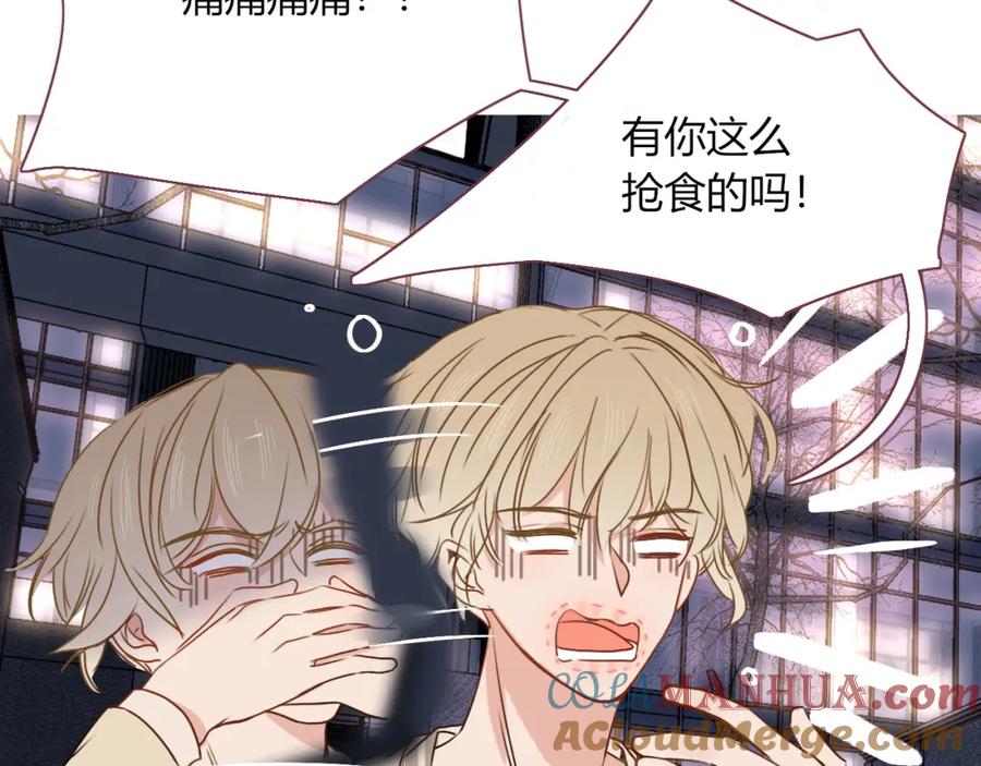 花落成牢 - 第11话 晚安，小甜饼 - 第17张图