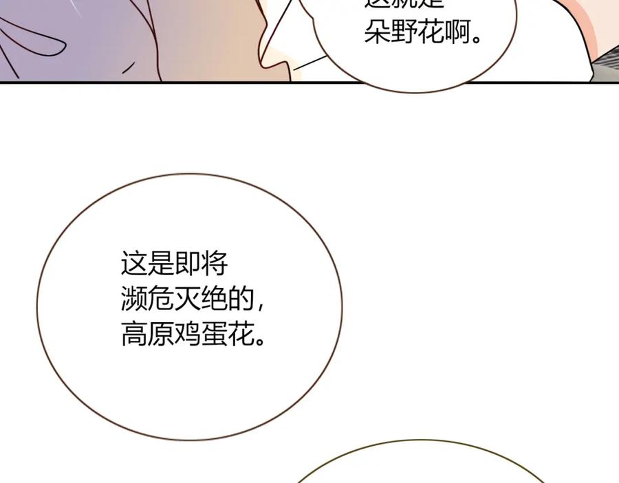 花落成牢 - 第11话 晚安，小甜饼 - 第74张图