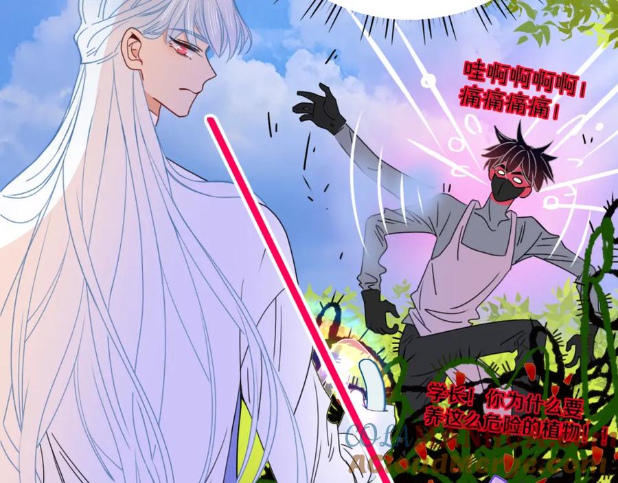 花落成牢 - 第31话 俄狄浦斯小小花 - 第76张图