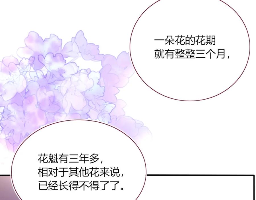 花落成牢 - 第42话 绝世甜花！甜cry我！ - 第66张图