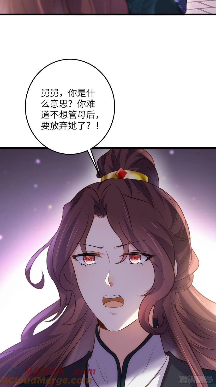 宦妃天下（太监王爷强娶我） 第226话 陆相的阴谋 第23页