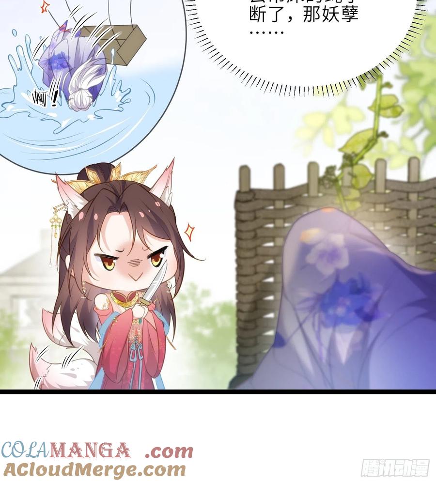 宦妃天下（太监王爷强娶我） 第273话 本座想钓鱼 第31页