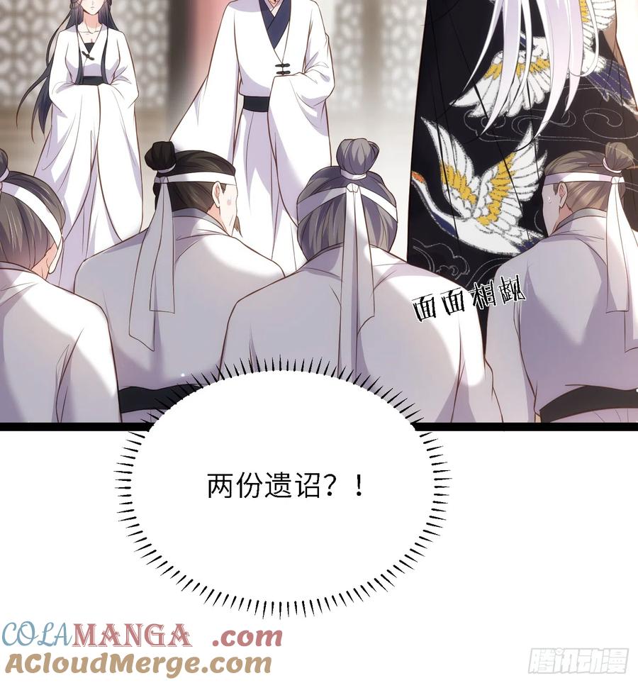 宦妃天下（太监王爷强娶我） 第295话 两份遗诏 第25页