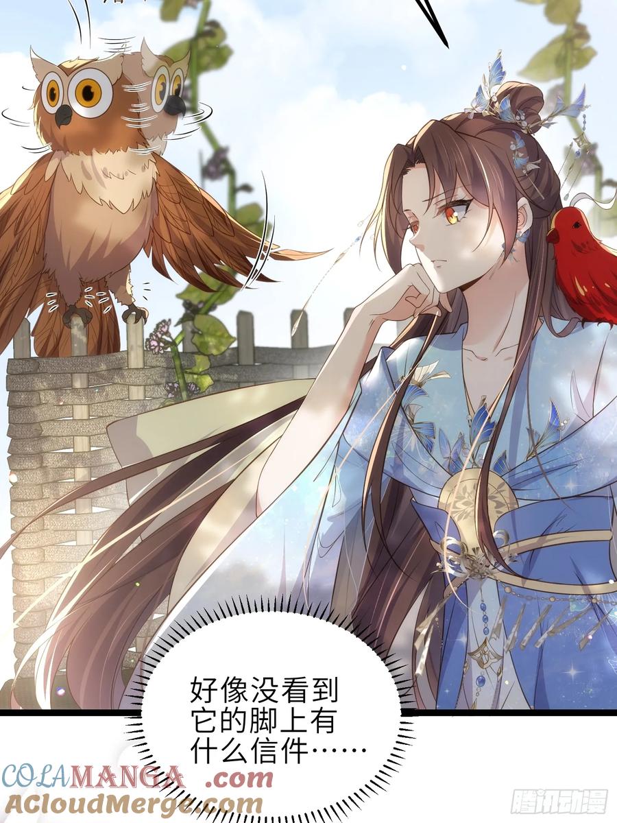 宦妃天下（太监王爷强娶我） 第332话 你想回西狄吗 第7页