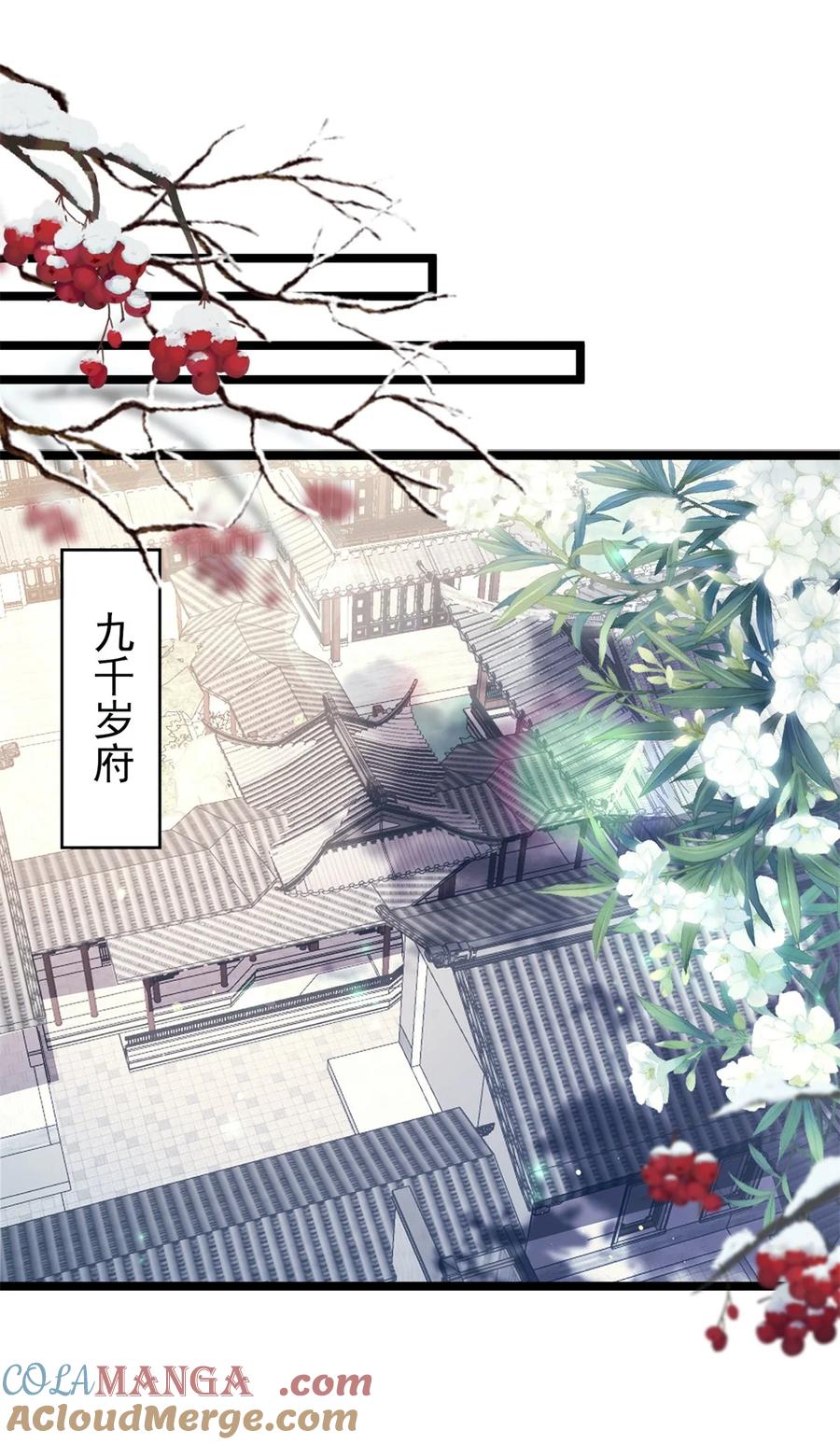 宦妃天下（太监王爷强娶我） 第370话 雌雄同体的怜儿 第11页