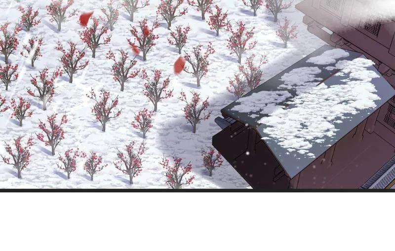 宦妃天下（太监王爷强娶我） 第387话 北国的雪中梅 第14页