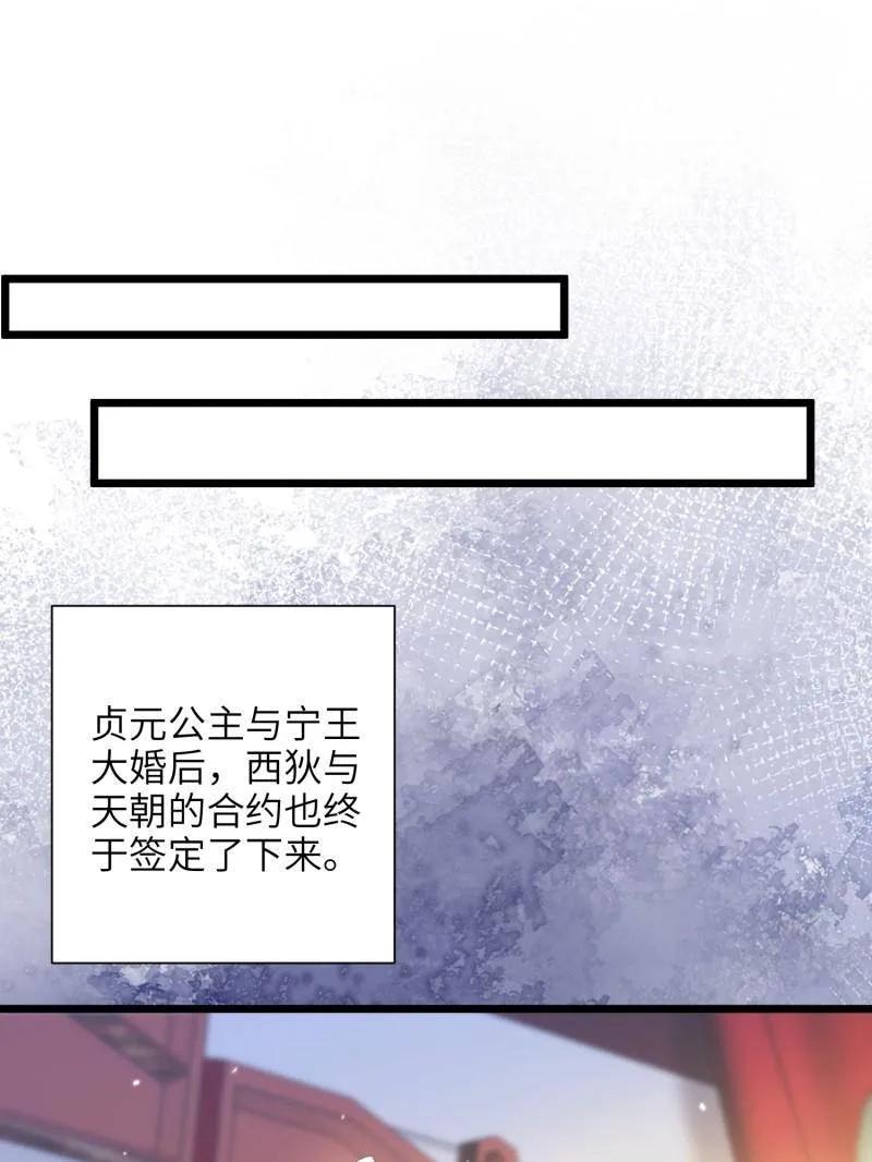 宦妃天下（太监王爷强娶我） 第399话 宁王的真心 第30页