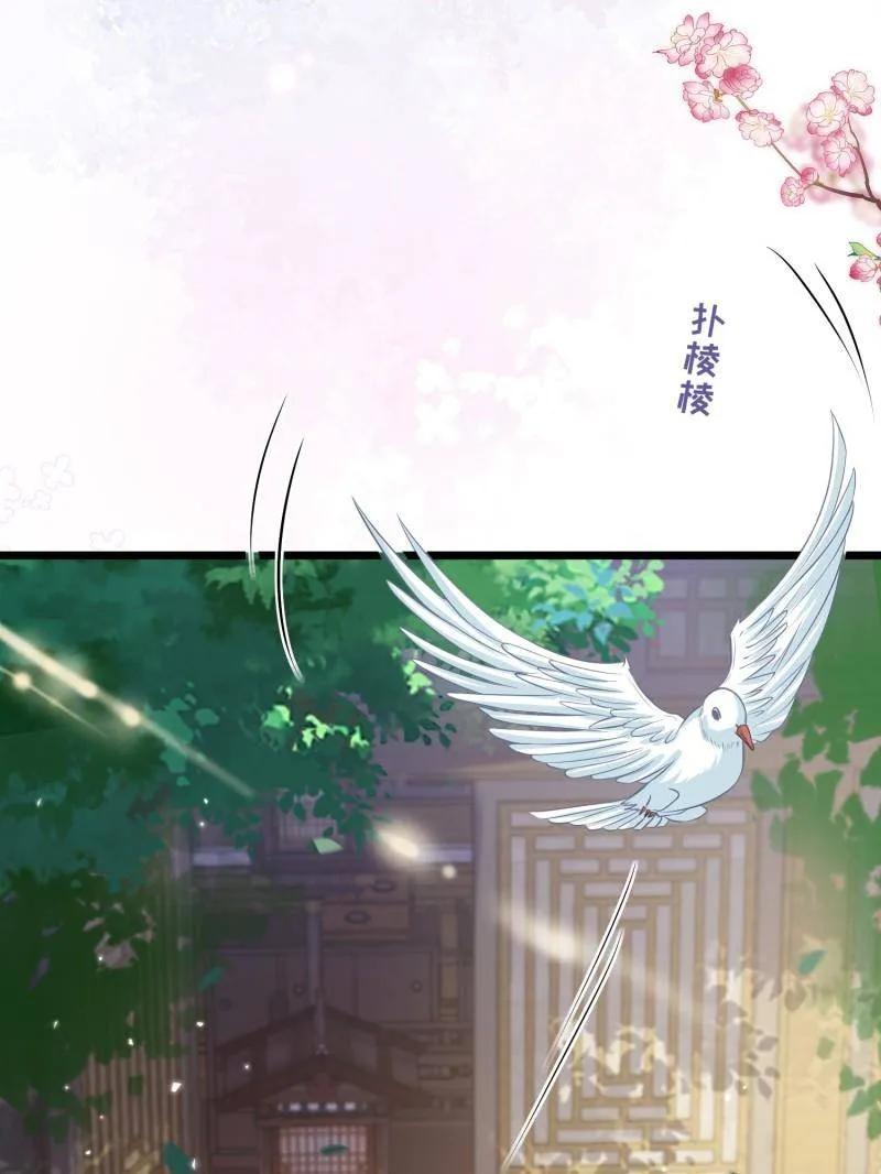 宦妃天下（太监王爷强娶我） 第399话 宁王的真心 第14页