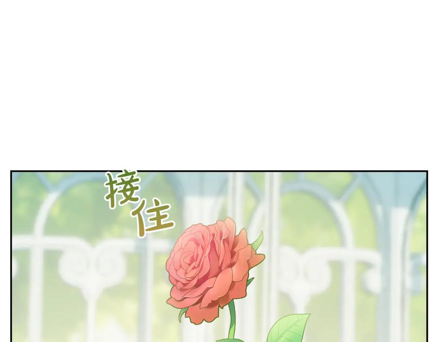 冬城的囚犯小公主 第62话 送花 第210页