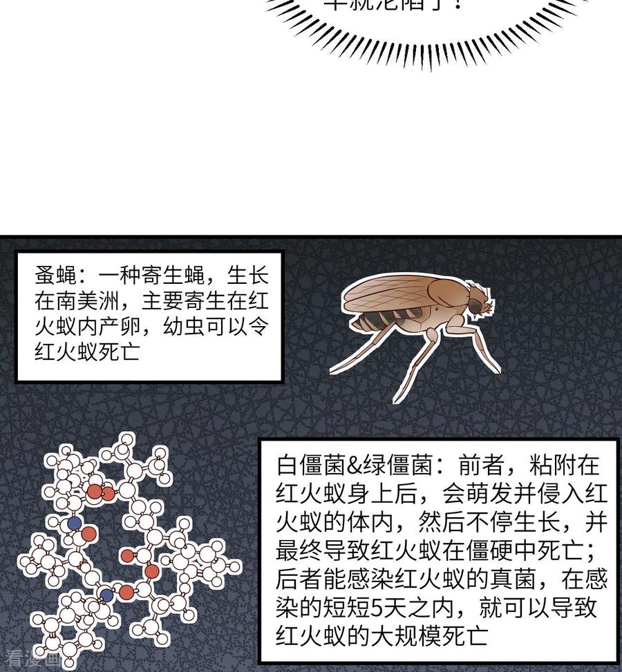 《荒岛余生之时空流浪纪》第167话 第5页