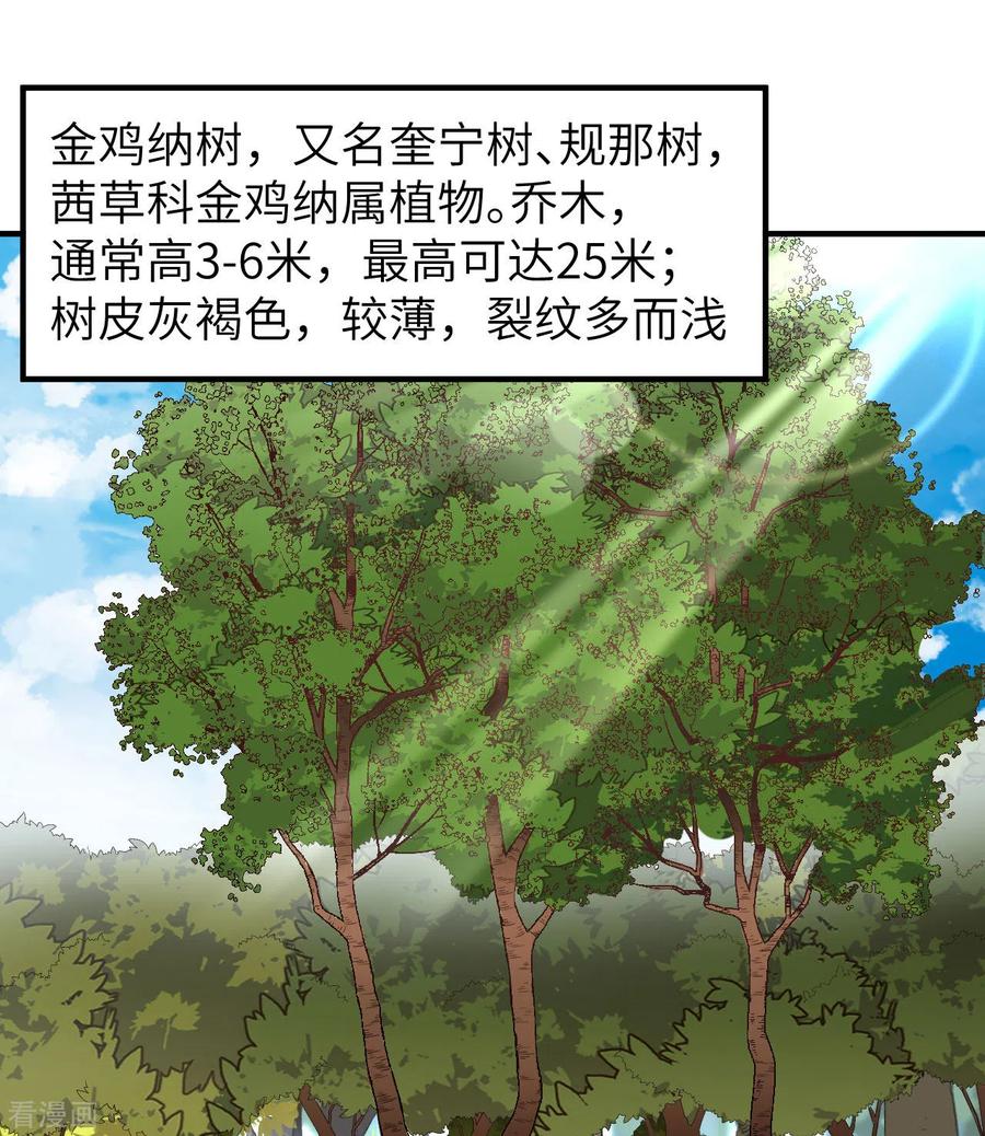 《荒岛余生之时空流浪纪》第185话 第32页