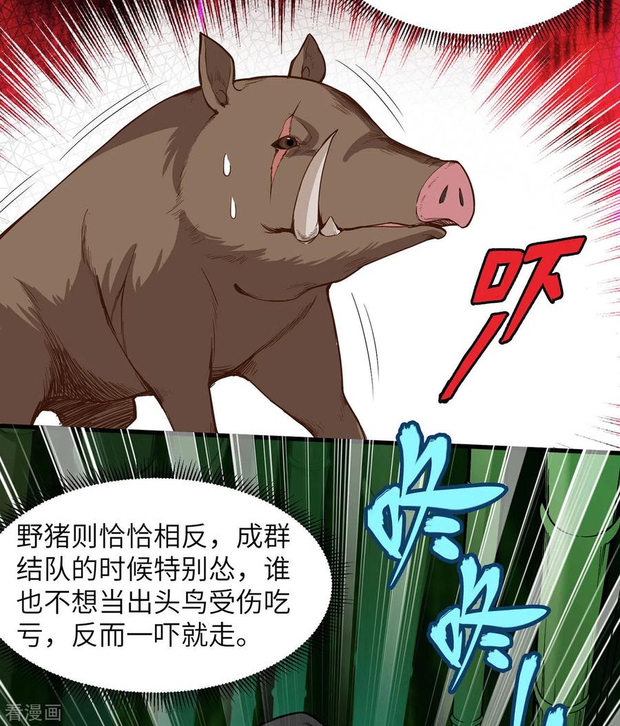 《荒岛余生之时空流浪纪》第19话 第15页