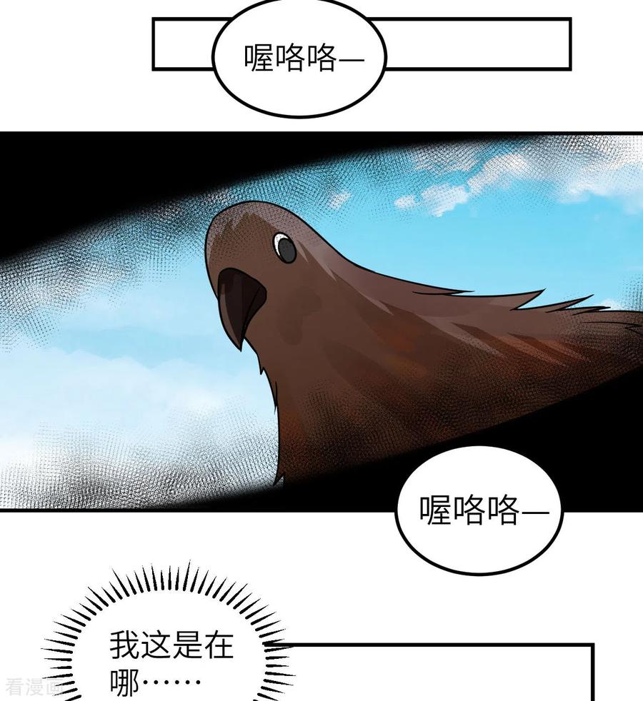 《荒岛余生之时空流浪纪》第213话 第63页