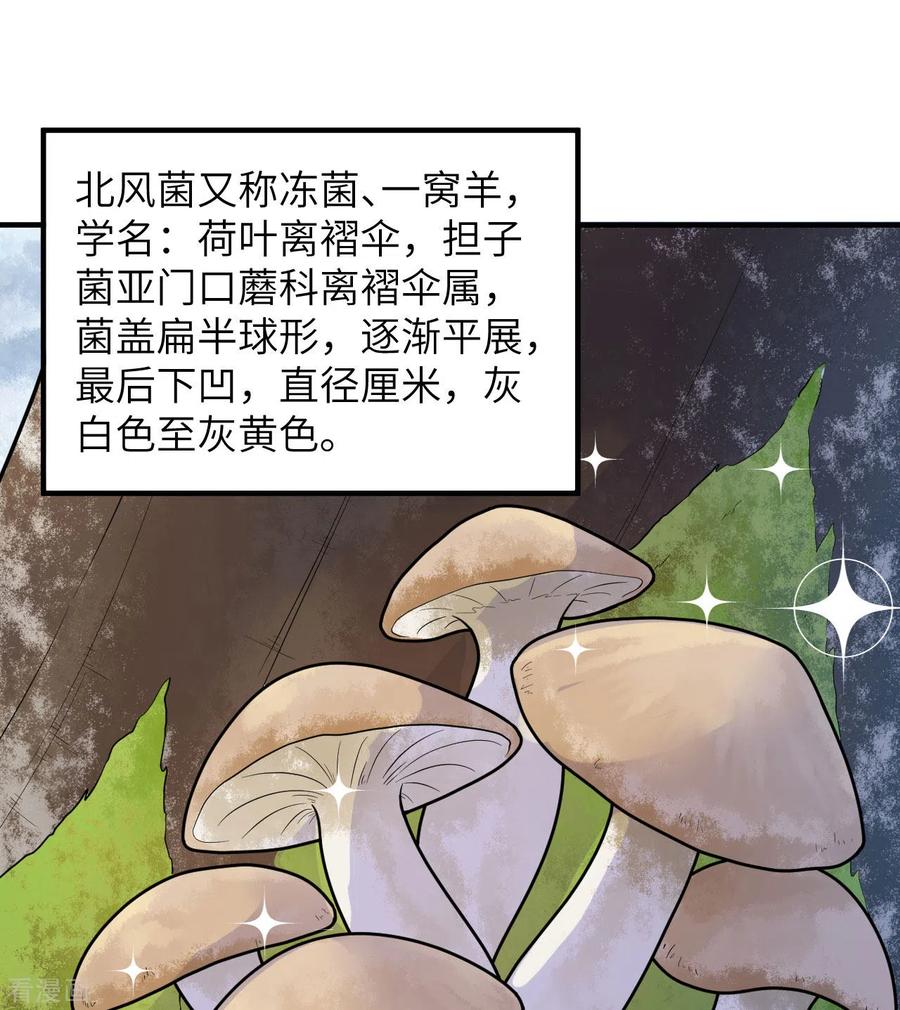 《荒岛余生之时空流浪纪》第226话 第2页