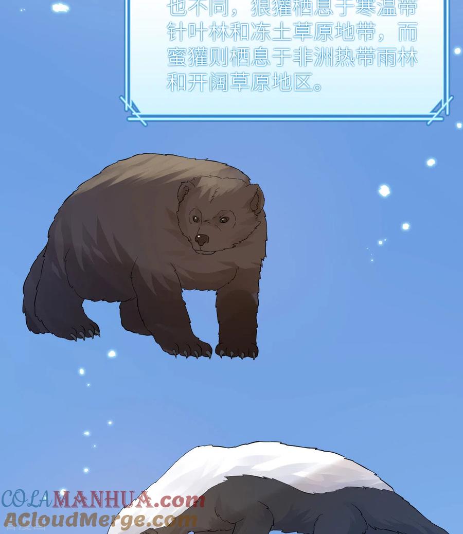 《荒岛余生之时空流浪纪》第228话 第49页