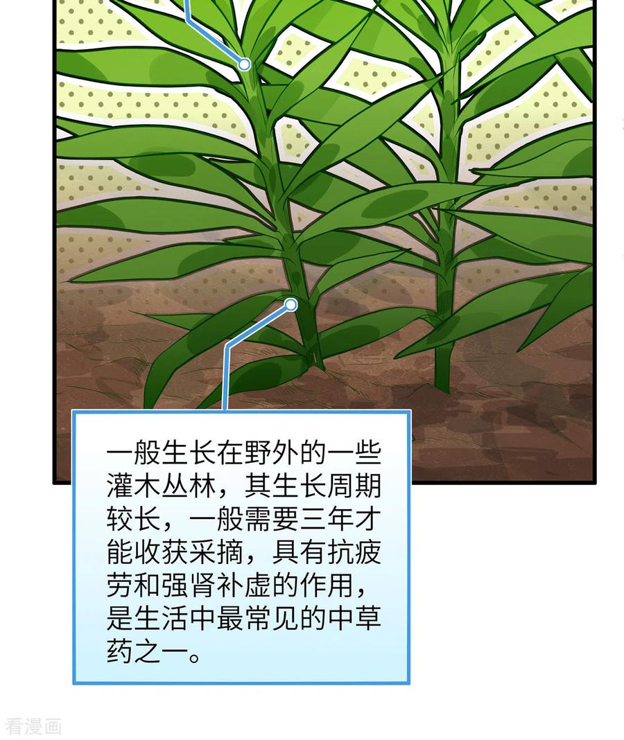 《荒岛余生之时空流浪纪》第35话 第32页