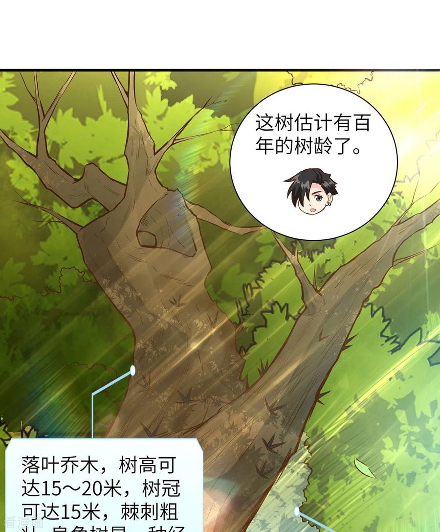 《荒岛余生之时空流浪纪》第38话 第5页
