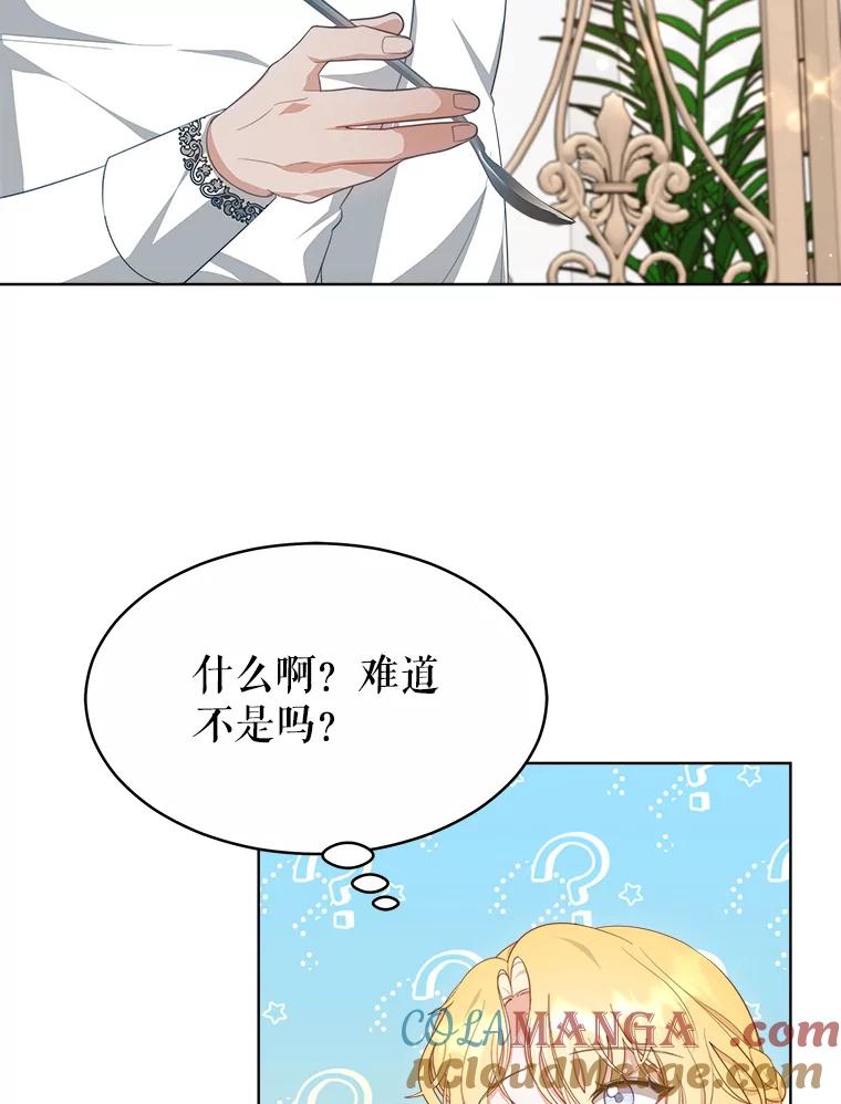 《小说男主竟是我前夫》38.住进大公府 第53页