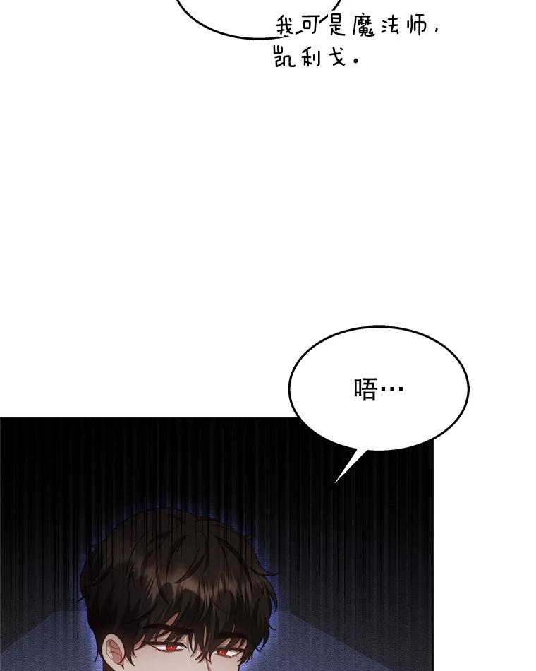 《小说男主竟是我前夫》39.大公的良苦用心 第100页