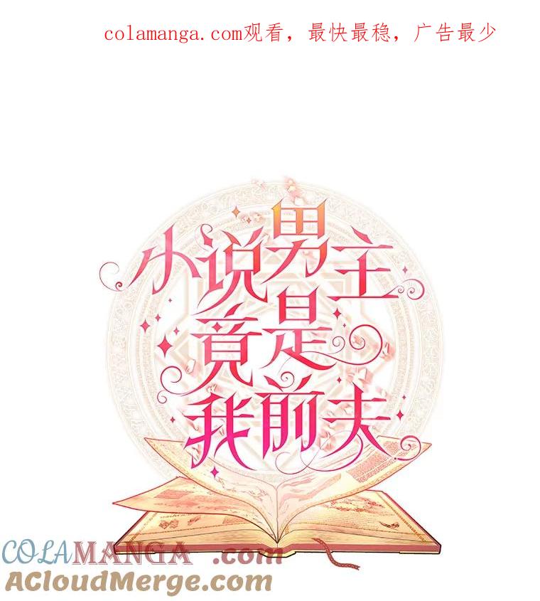 《小说男主竟是我前夫》39.大公的良苦用心 第1页