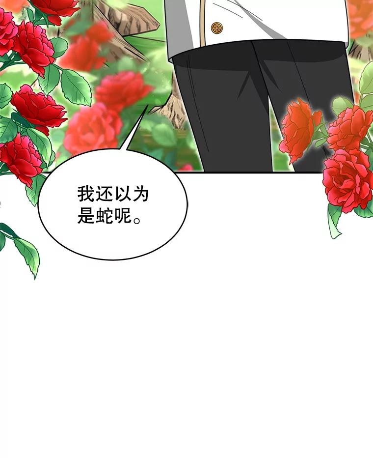 《小说男主竟是我前夫》46.解毒 第115页