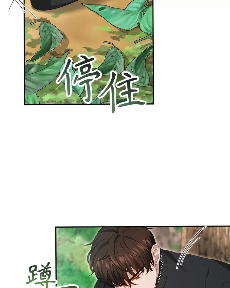 《小说男主竟是我前夫》47.皇太子的阴谋 第6页